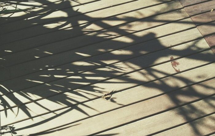 Naturalny cień zamiast parasola - drzewa i pergole, które chłodzą latem